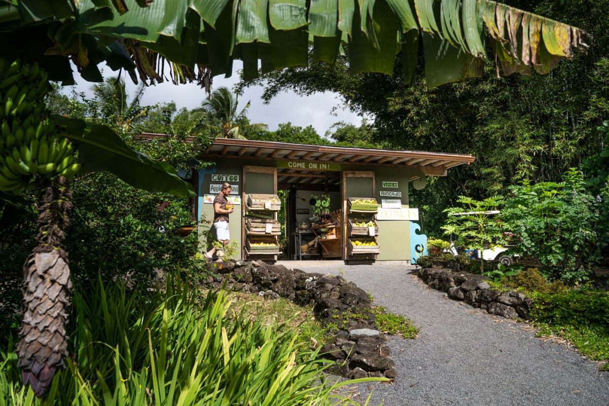 Fruit Stand Laulima Farm