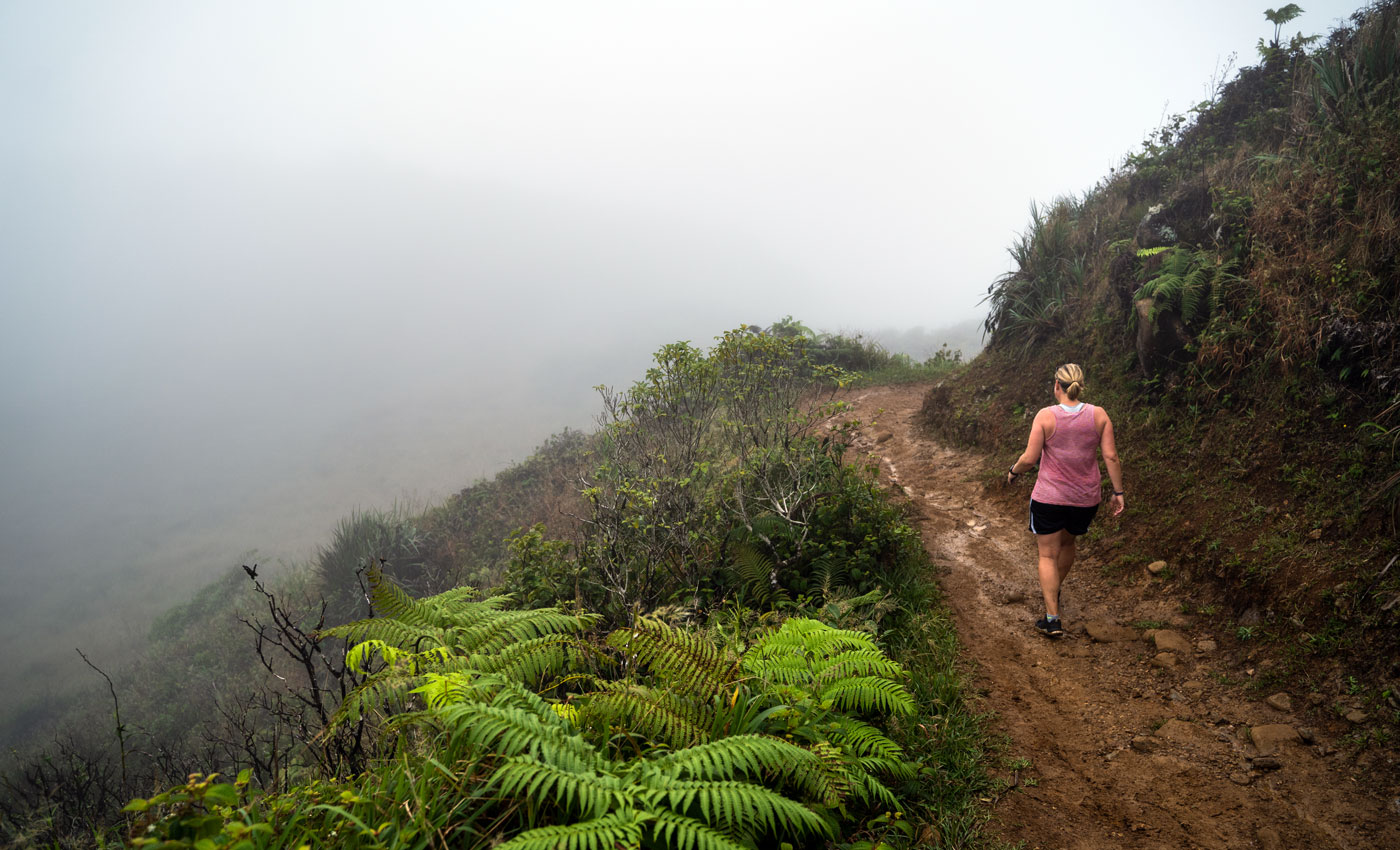 Wandern auf Maui, Hawaii