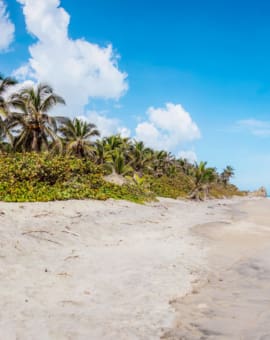Beste Reiseziele warm im Januar Kolumbien