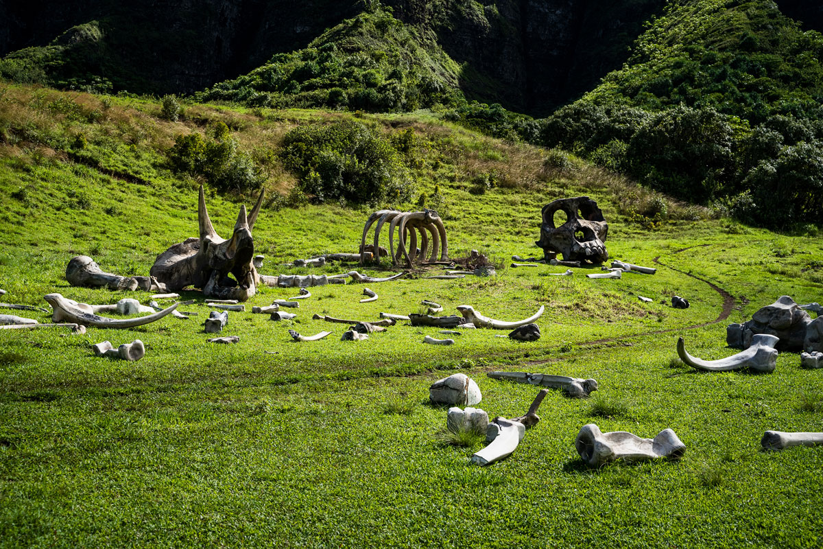 Kualoa Ranch ist beliebter Drehort
