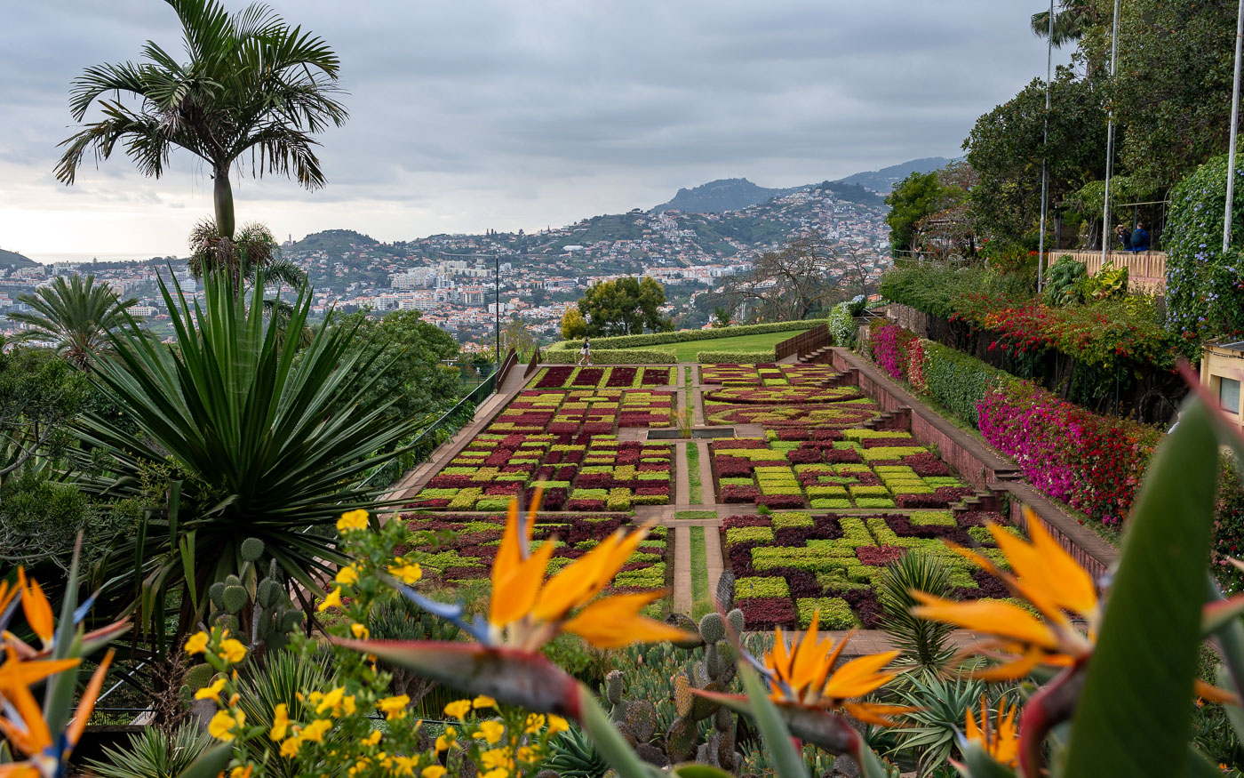 Botanischer Garten Funchal, Madeira