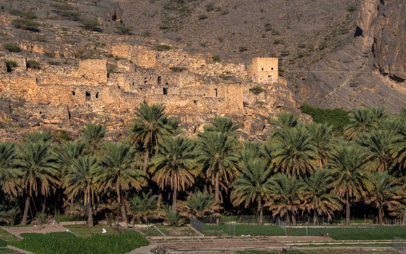 Wadh Ghul Oman Reisetipps