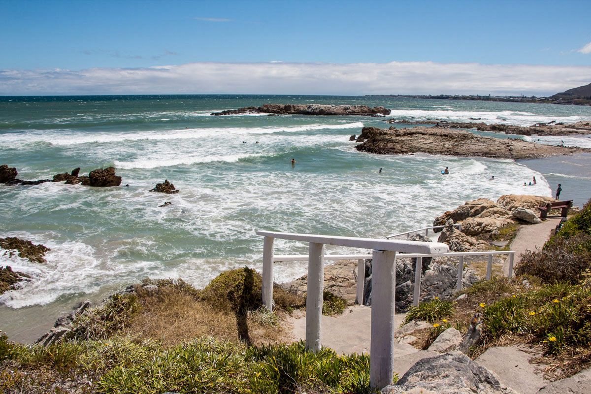 Der "Klippenpfad" in Hermanus führt dich am Meer entlang der Fynbis-Vegetation und Badebuchten
