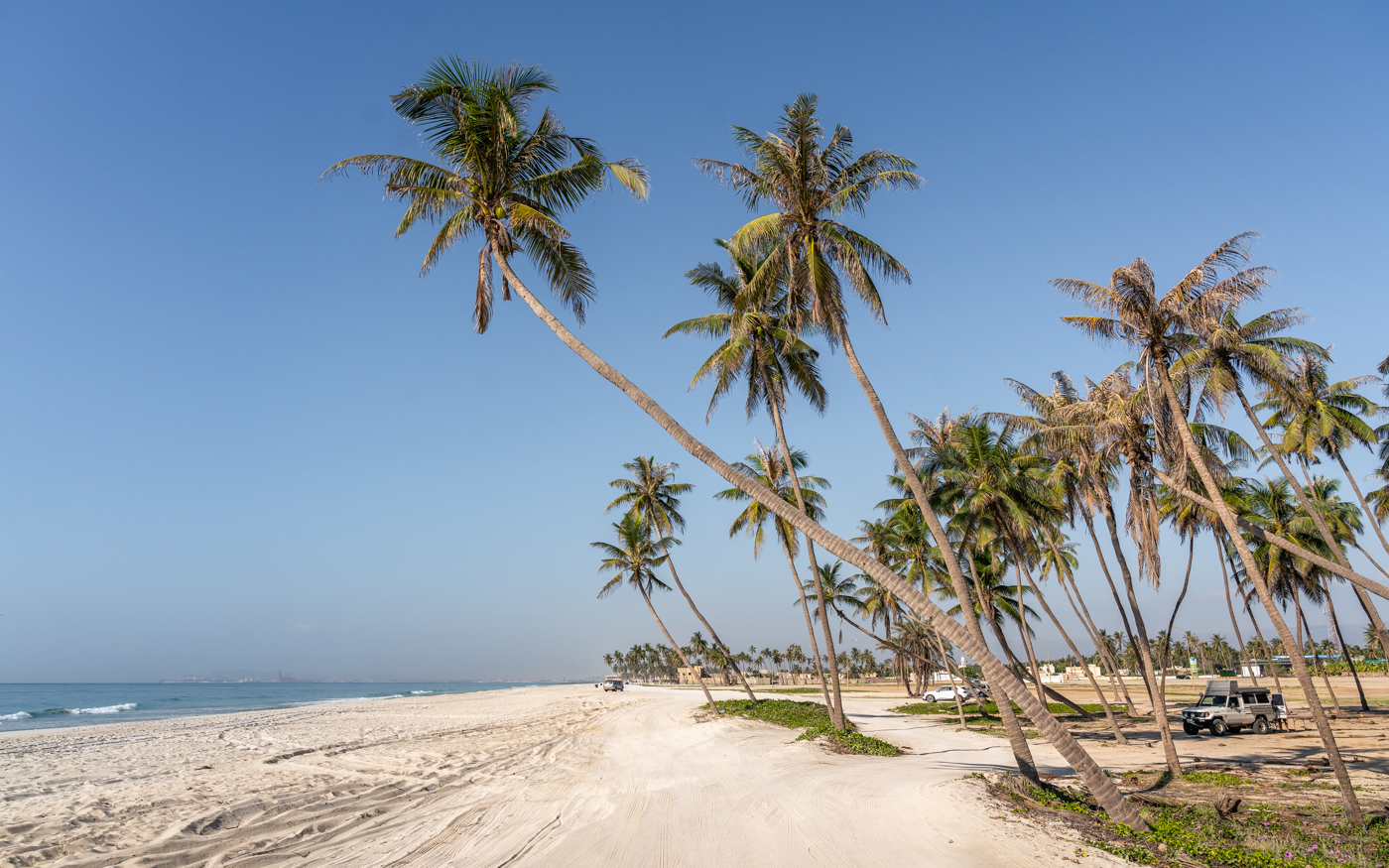 Oman Salalah Coconut Beach