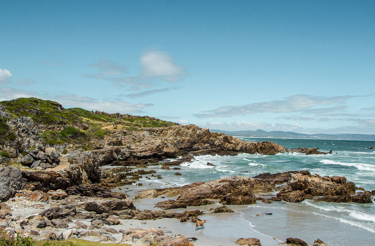 Hermanus Südafrika Cliff Path