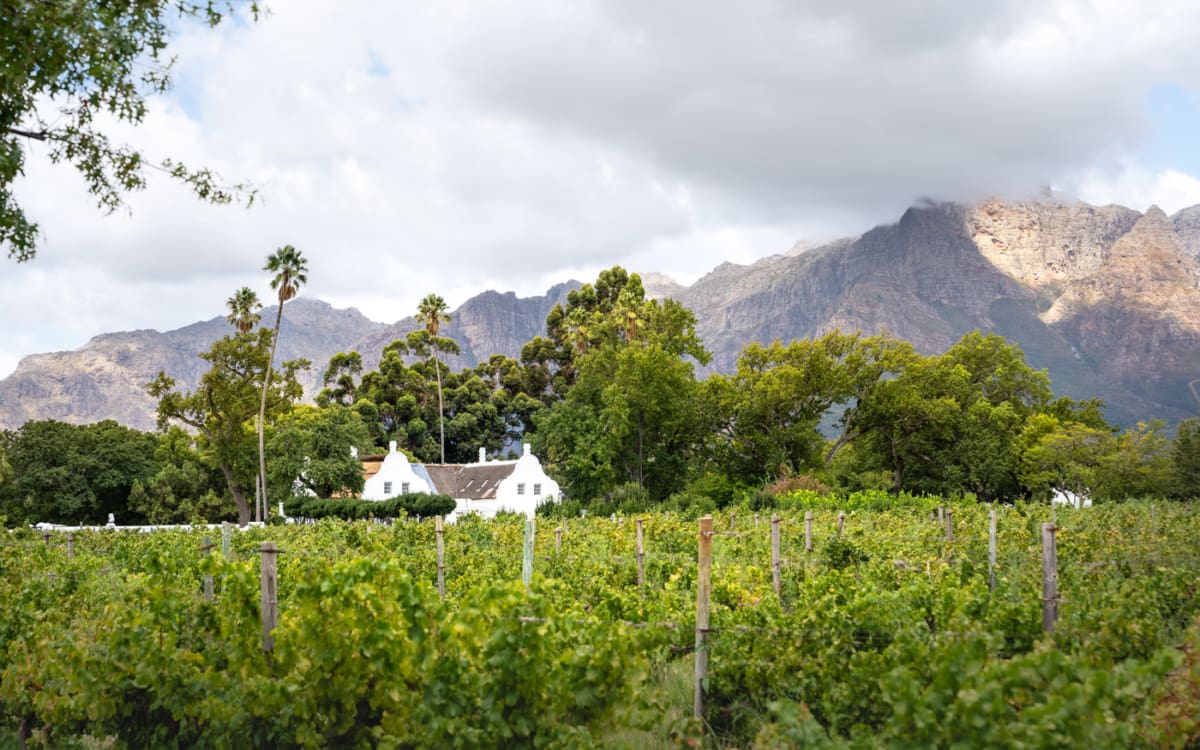 Allee Bleue Weingut Franschhoek
