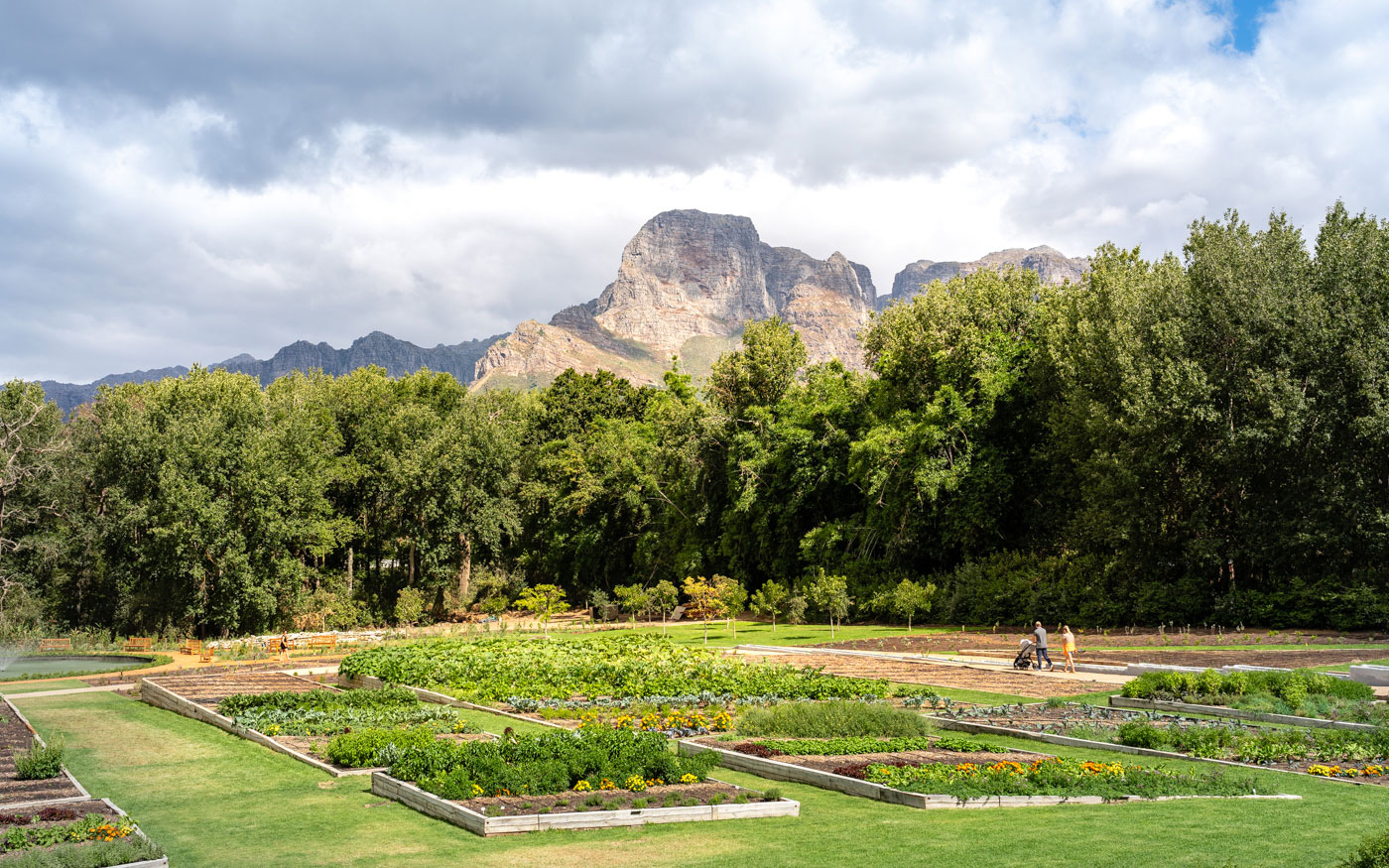 Schönstes Weingut Südafrika: Boschendal in Stellenbosch