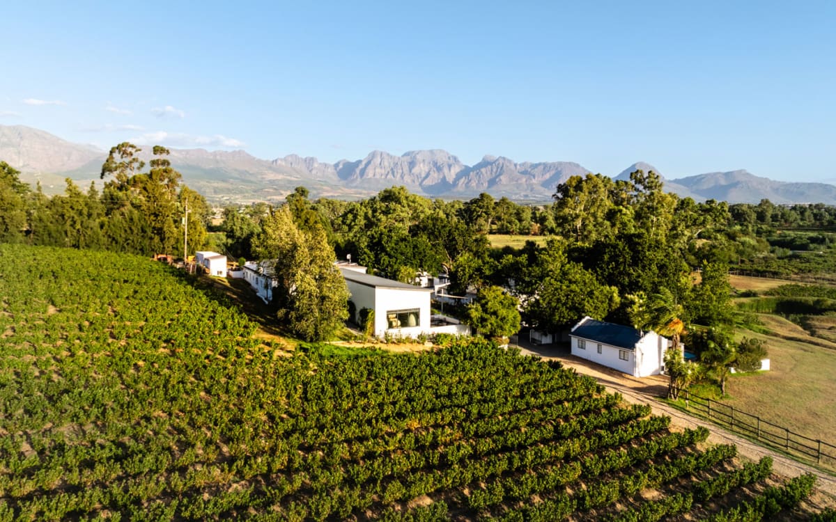 Temple Wines Paarl Winelands Südafrika
