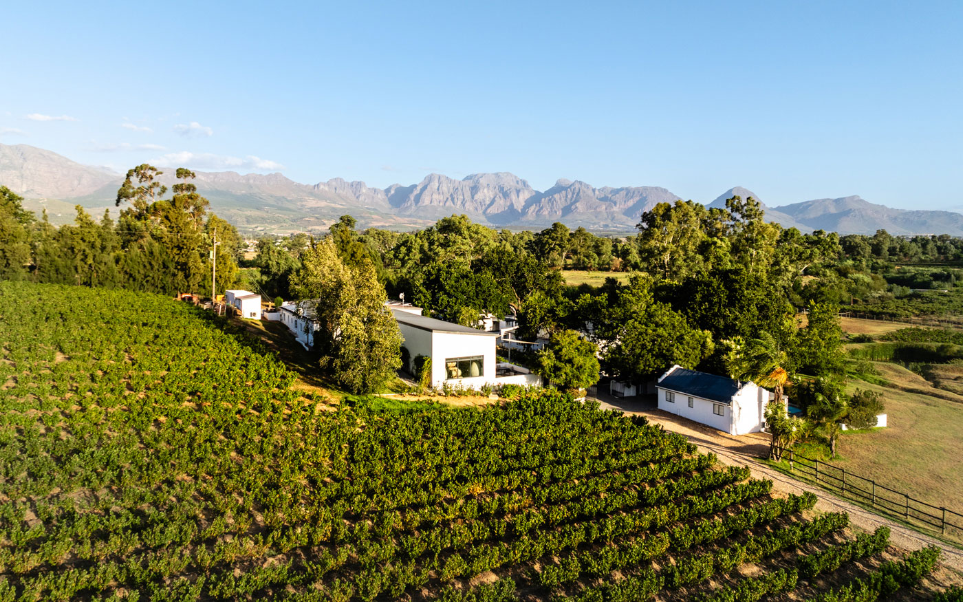 Temple Wines Paarl Winelands Südafrika