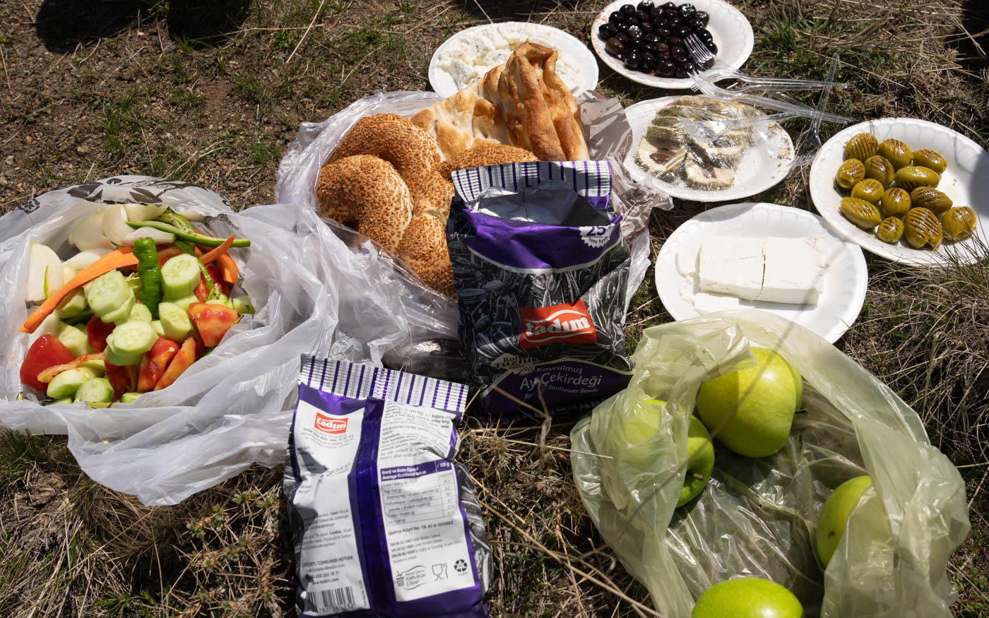 Picknick am Nemrut Krater