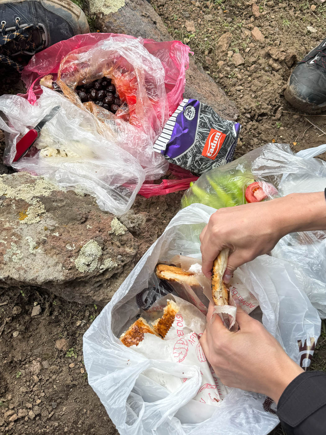 Picknick am Berg Suphan