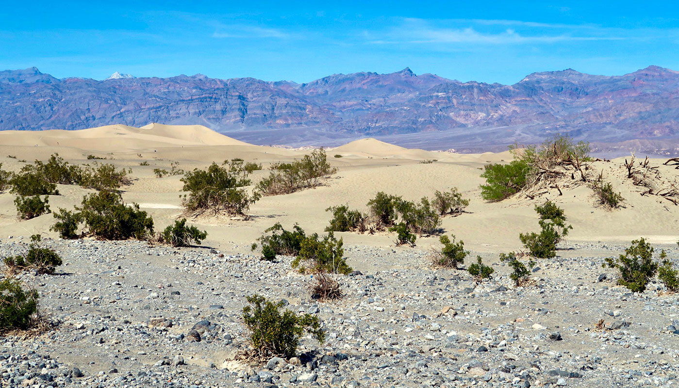Mesquite Flat Sand Dunes