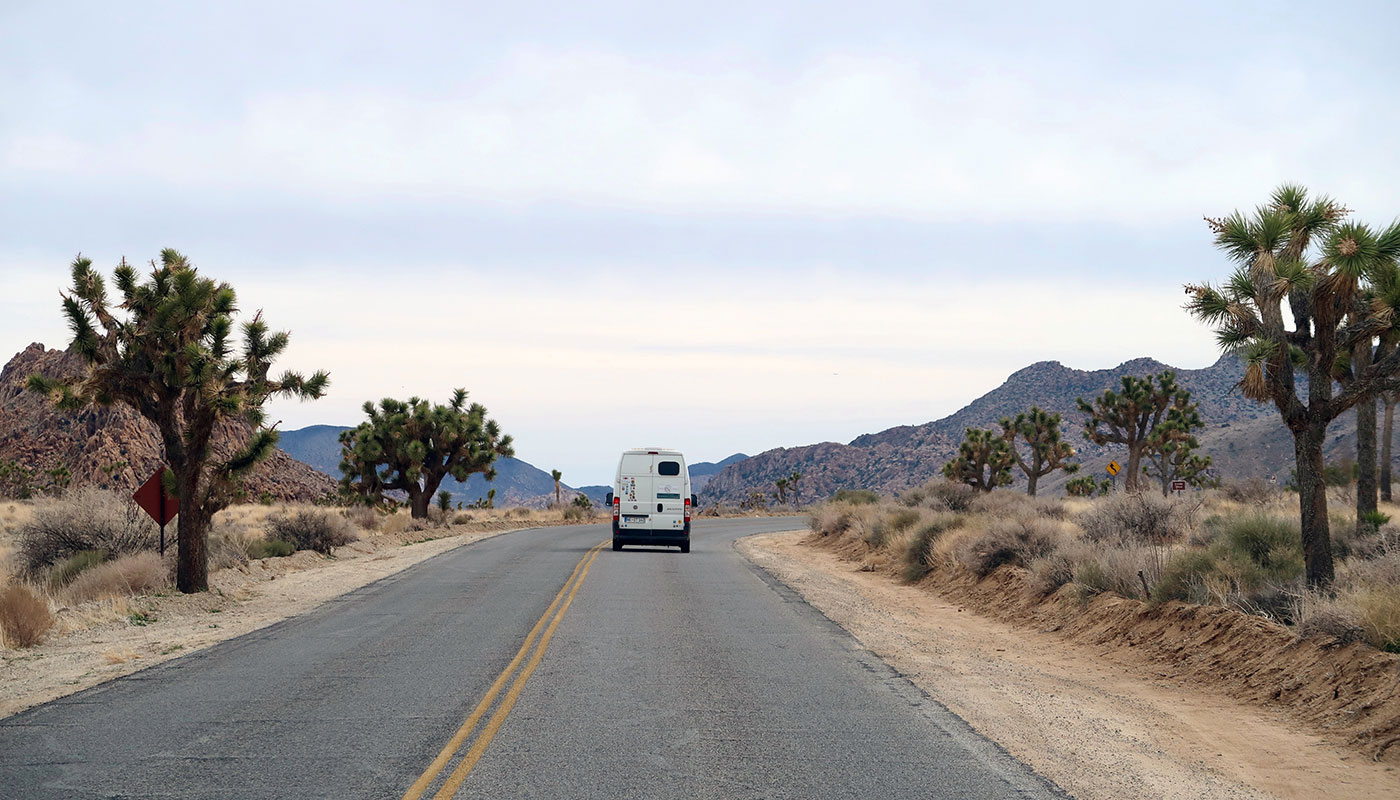 Joshua Tree National Park Kalifornien mit Camper