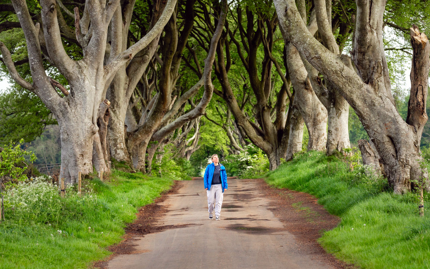 Dark Hedges Nordirland