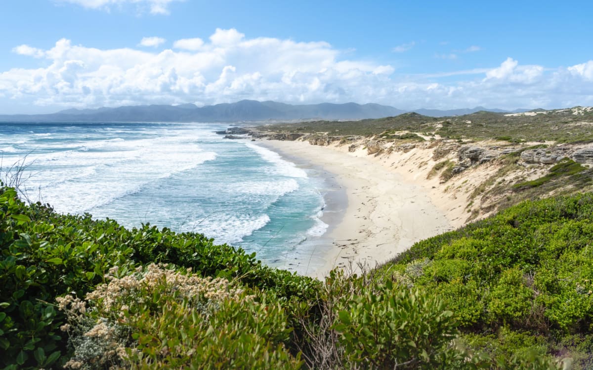 Walker Bay Nature Reserve in De Kelders an der Garden Route Südafrika