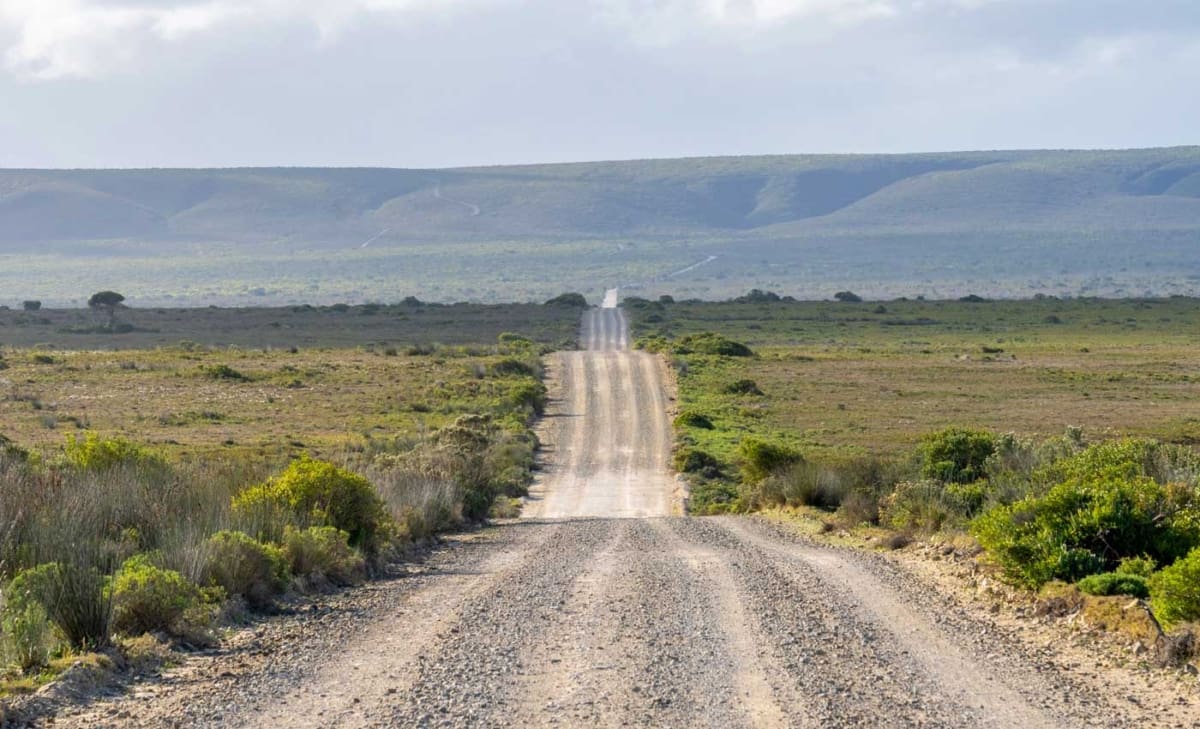 Weiße Dünenlandschaft im De Hoop Nature Reserve in Südafrika