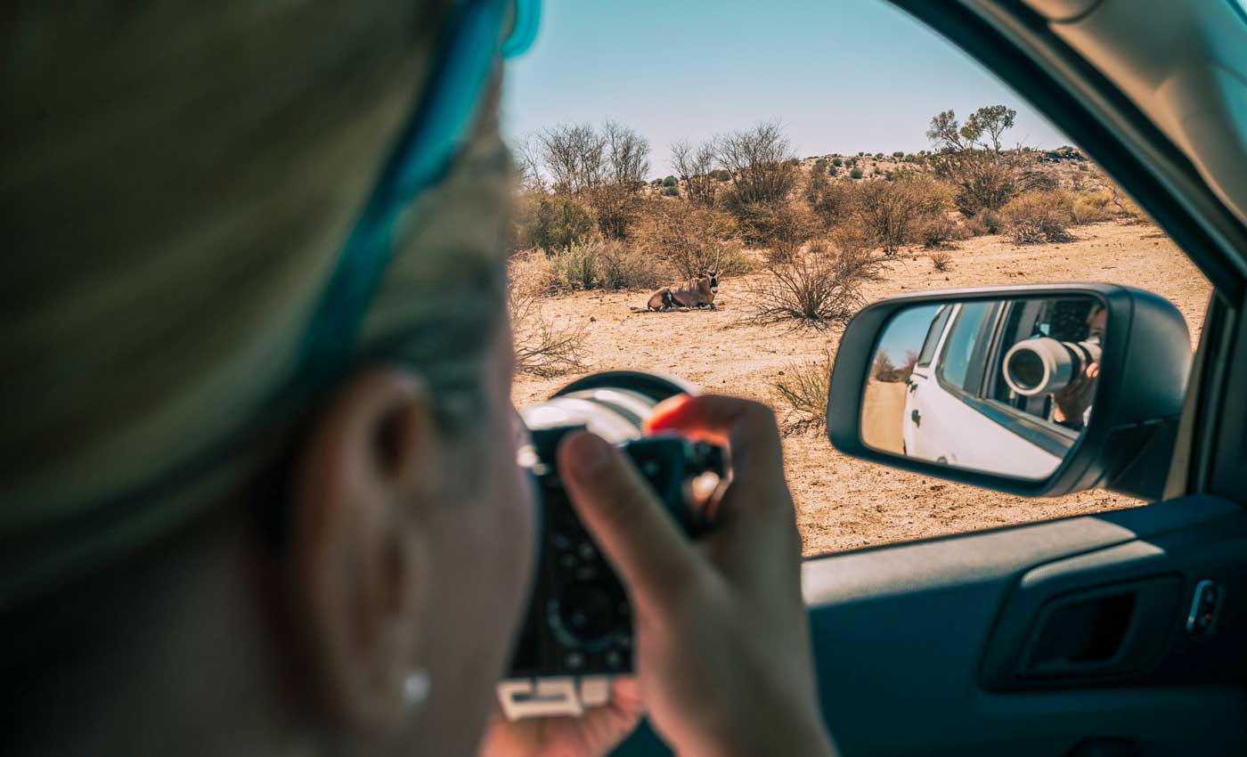 Game Drive auf eigene Faust im Augrabies Falls Nationalpark im Northern Cape