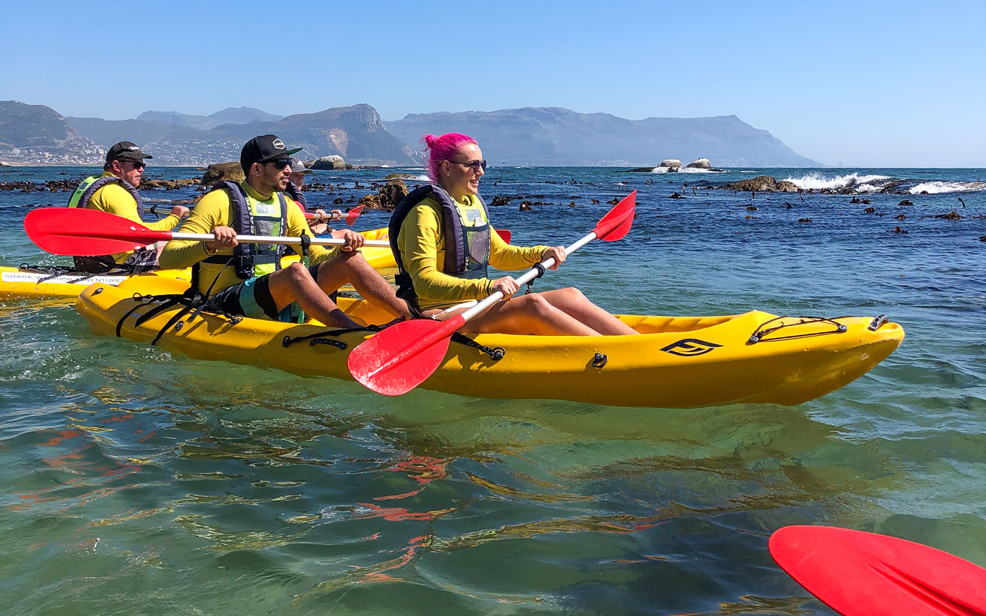 Kajaktour in Simons Town zu den Pinguinen am Boulders Beach