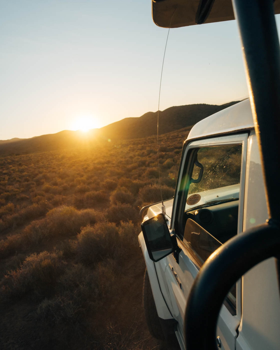 Der Sonne entgegen beim Game Drive