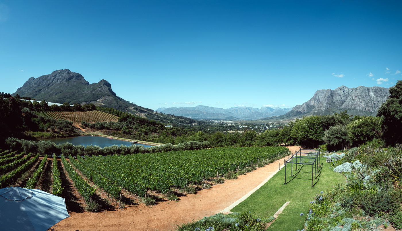 Aussicht am Weingut Bartinney, Franschhoek Winelands