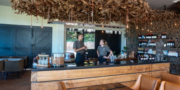 Tolles Weingut Bartinney, Franschhoek Winelands